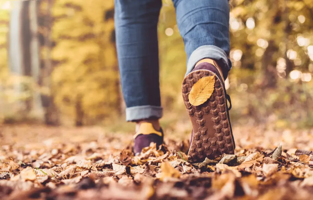 Close up of feet walking away from camera in a fall forest